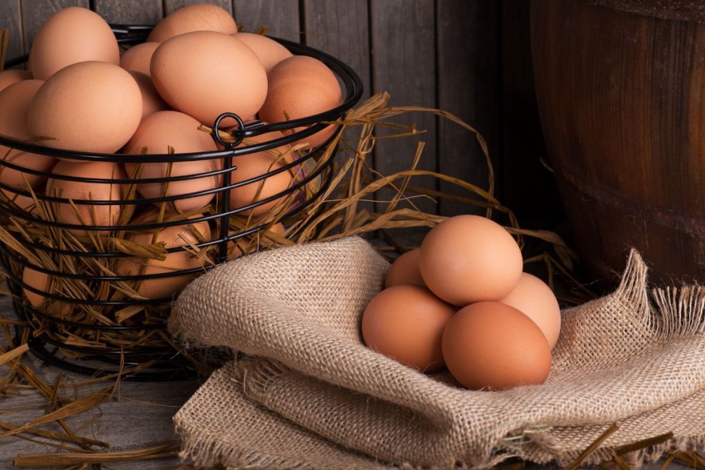 Come capire se le uova sono ancora buone? Ecco le risposte più cercate in una guida completa per valutare freschezza e qualità delle uova.